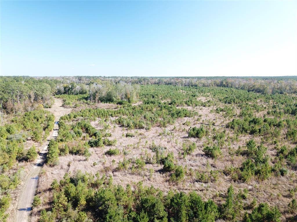 00 FM 770, Kountze, TX 77625
