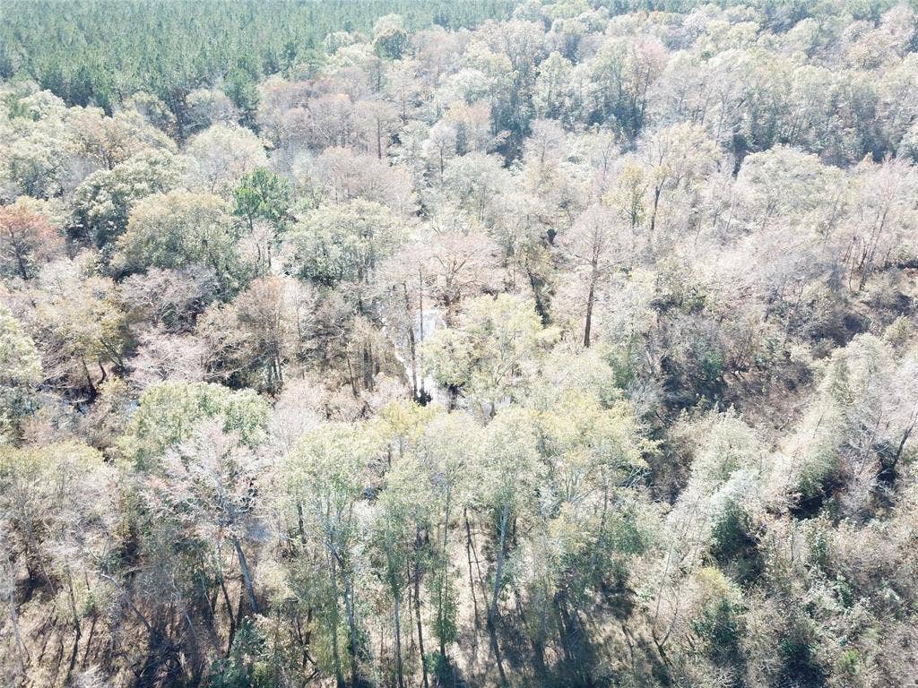 00 FM 770, Kountze, TX 77625