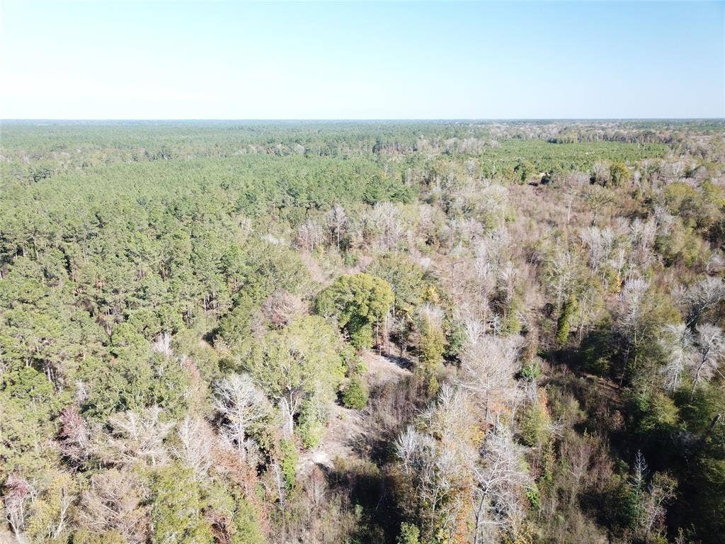 00 FM 770, Kountze, TX 77625
