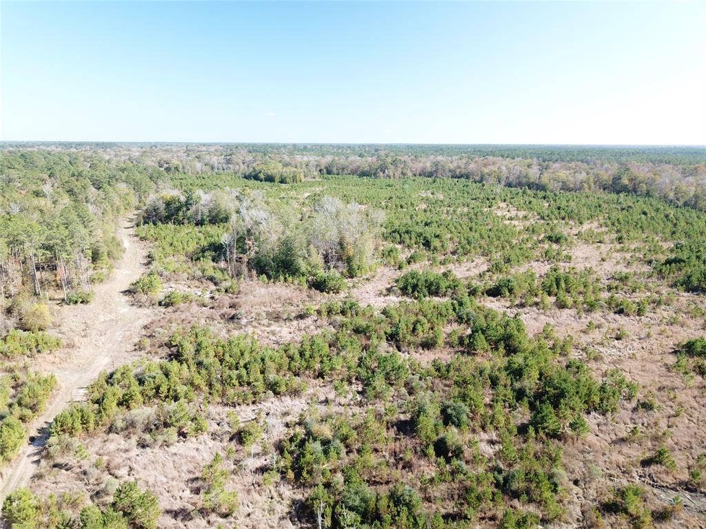 00 FM 770, Kountze, TX 77625