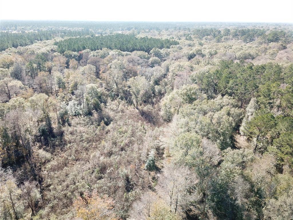 00 FM 770, Kountze, TX 77625
