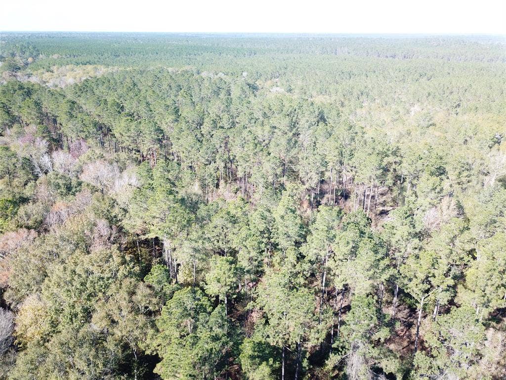 00 FM 770, Kountze, TX 77625