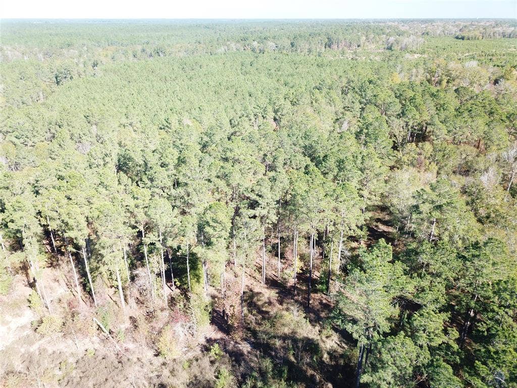 00 FM 770, Kountze, TX 77625