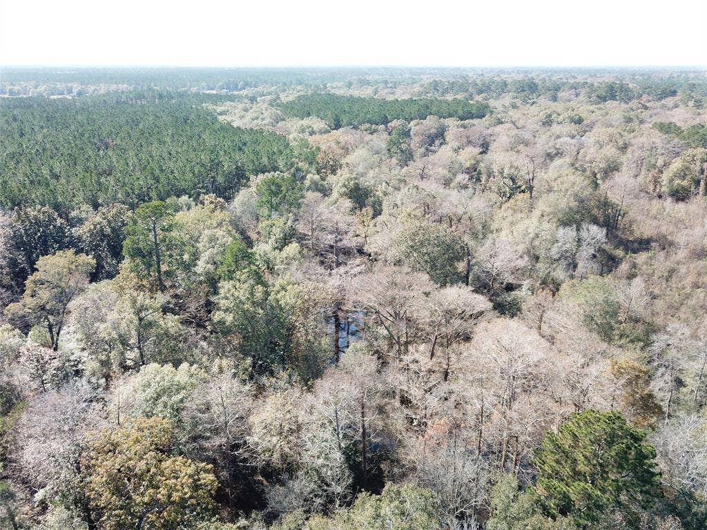 00 FM 770, Kountze, TX 77625