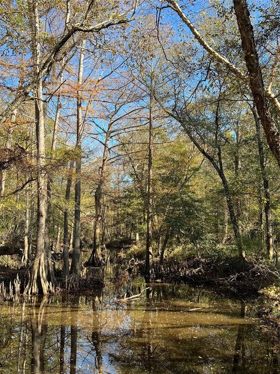 00 FM 770, Kountze, TX 77625