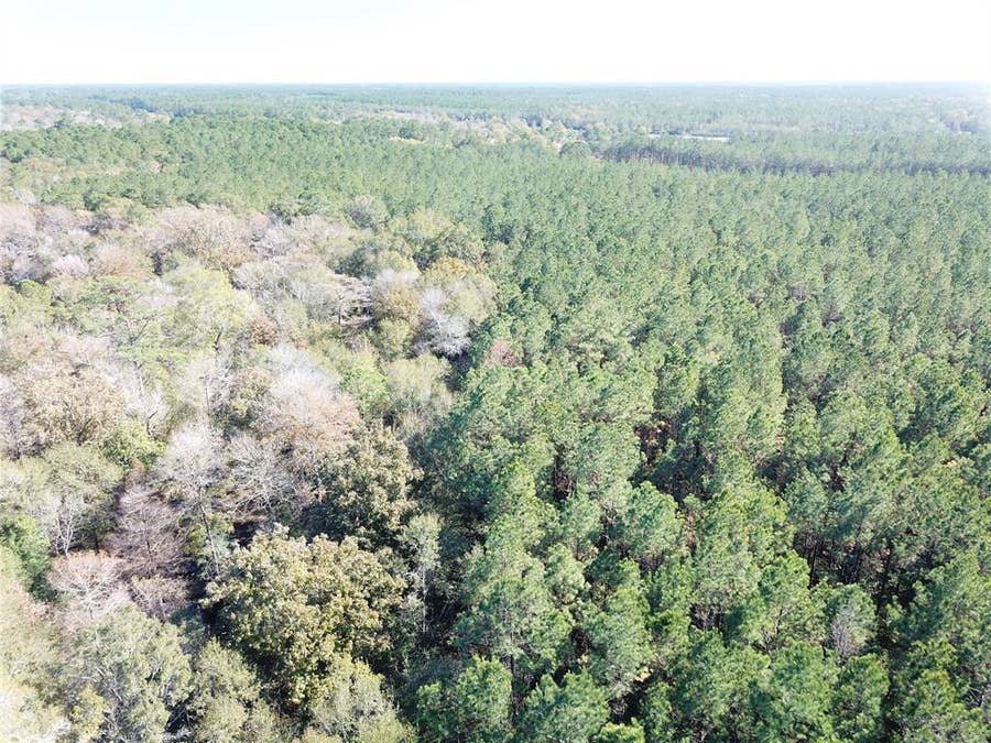 Property photo for 00 FM 770, Kountze, TX