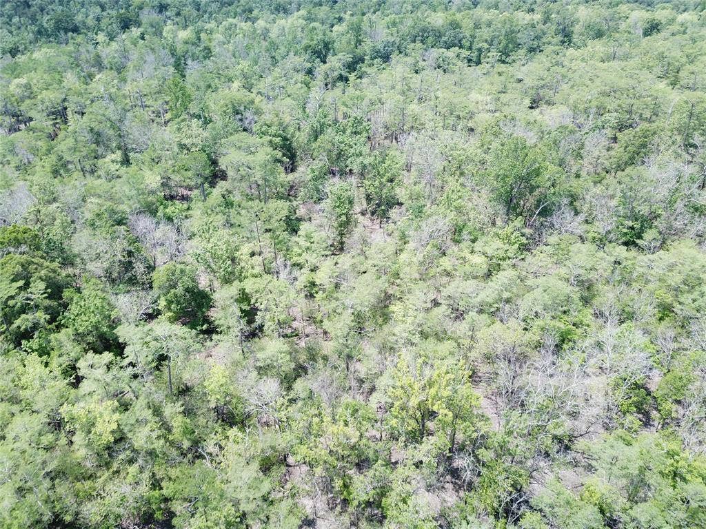 00 Indian Lake Road, Orange, TX 77614