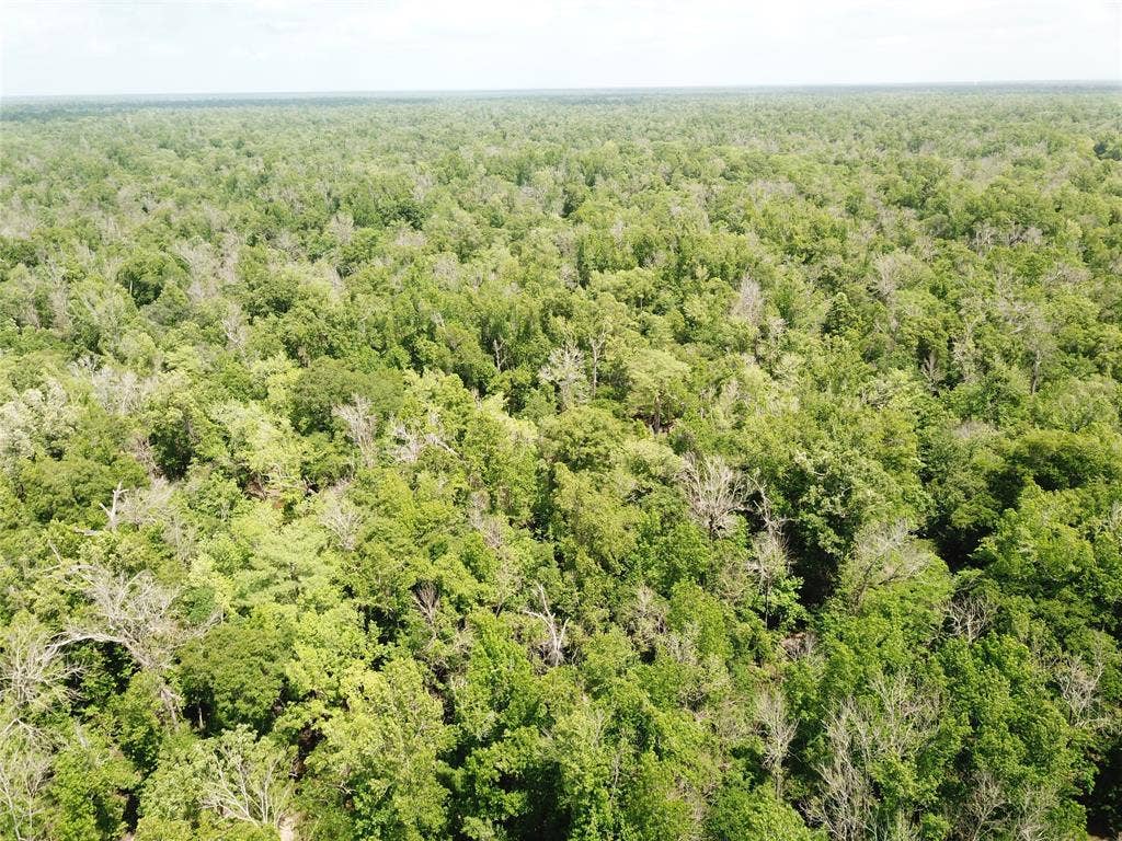 00 Indian Lake Road, Orange, TX 77614