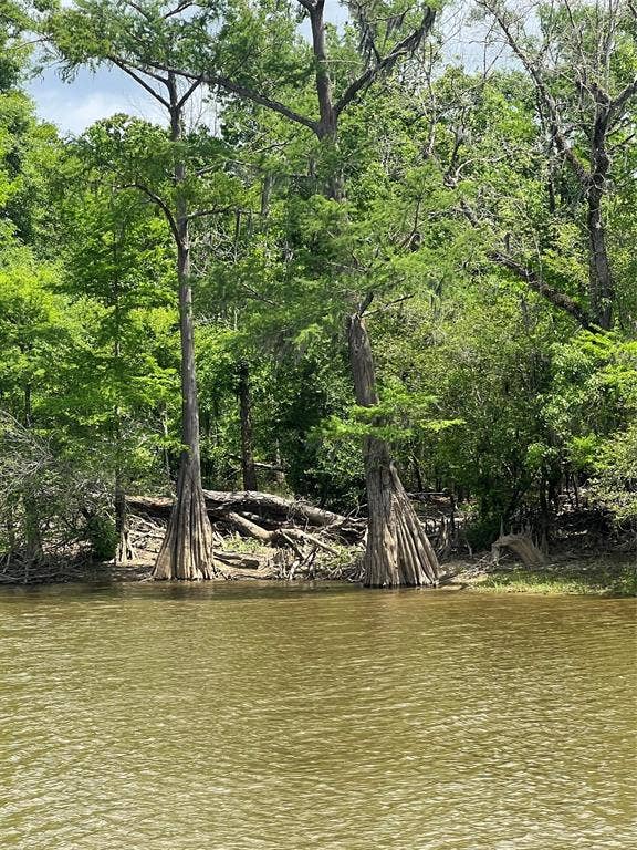 00 Indian Lake Road, Orange, TX 77614