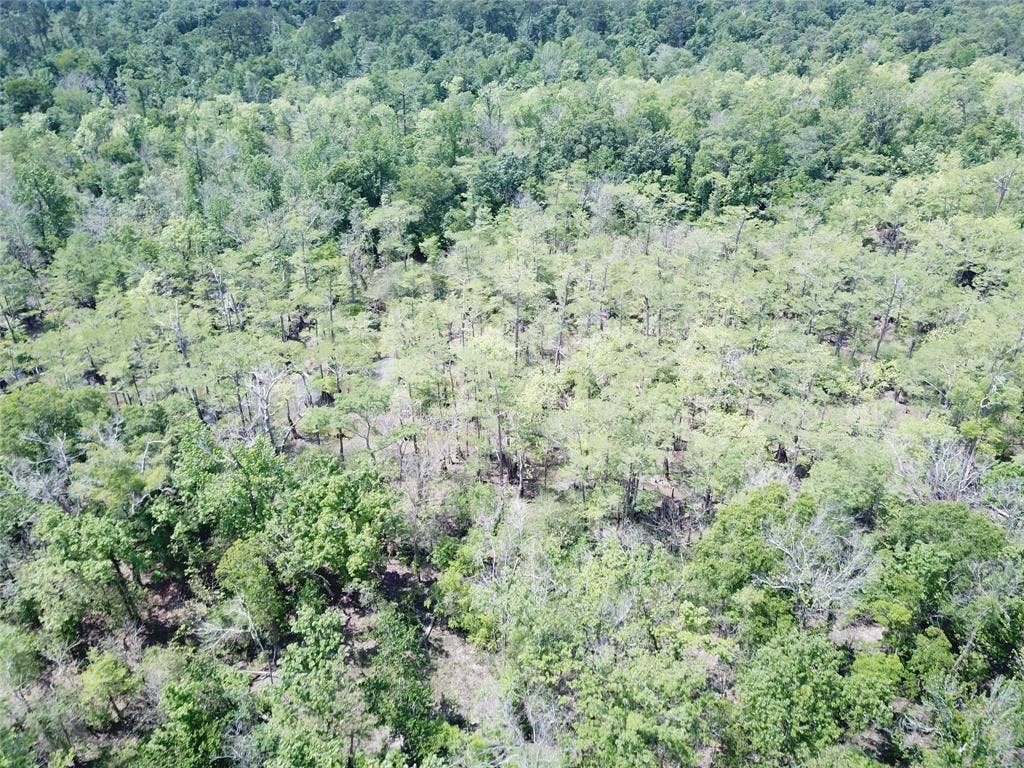 00 Indian Lake Road, Orange, TX 77614