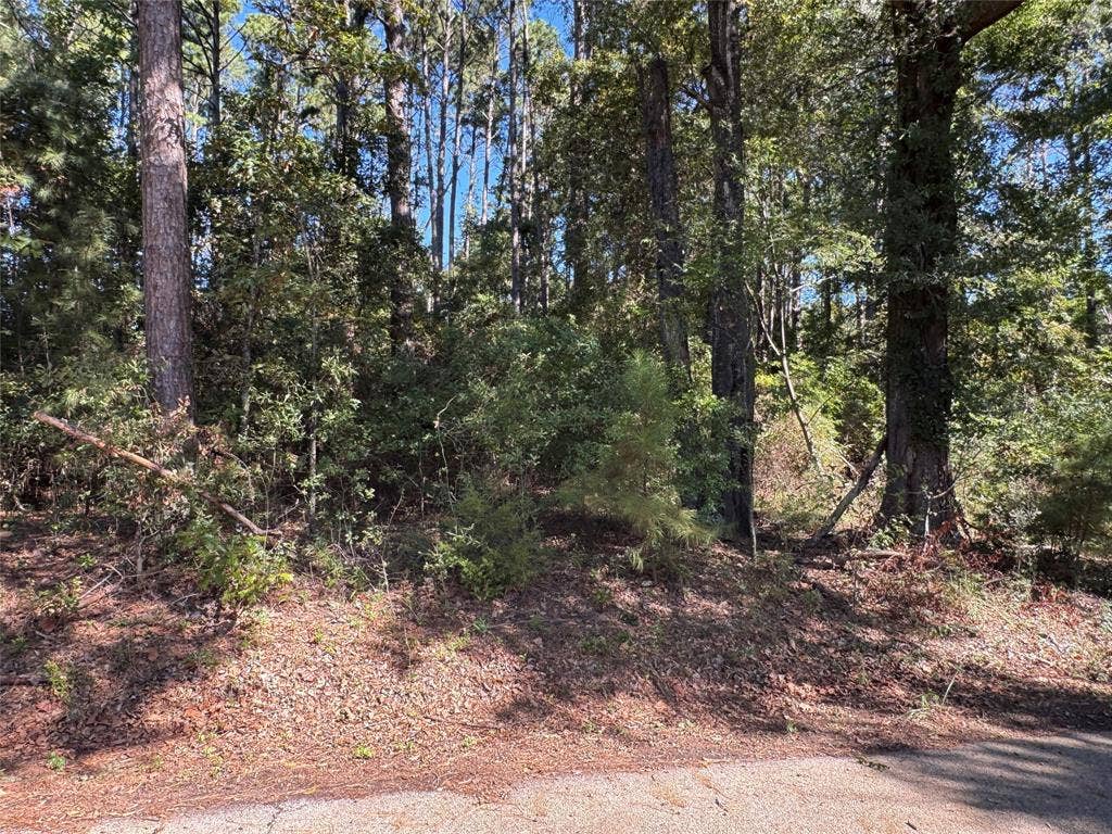 8289 ST HWY 155, Frankston, TX 75763