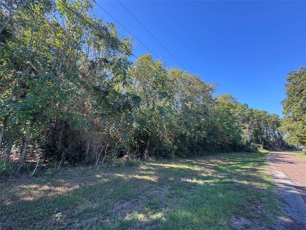 8289 ST HWY 155, Frankston, TX 75763