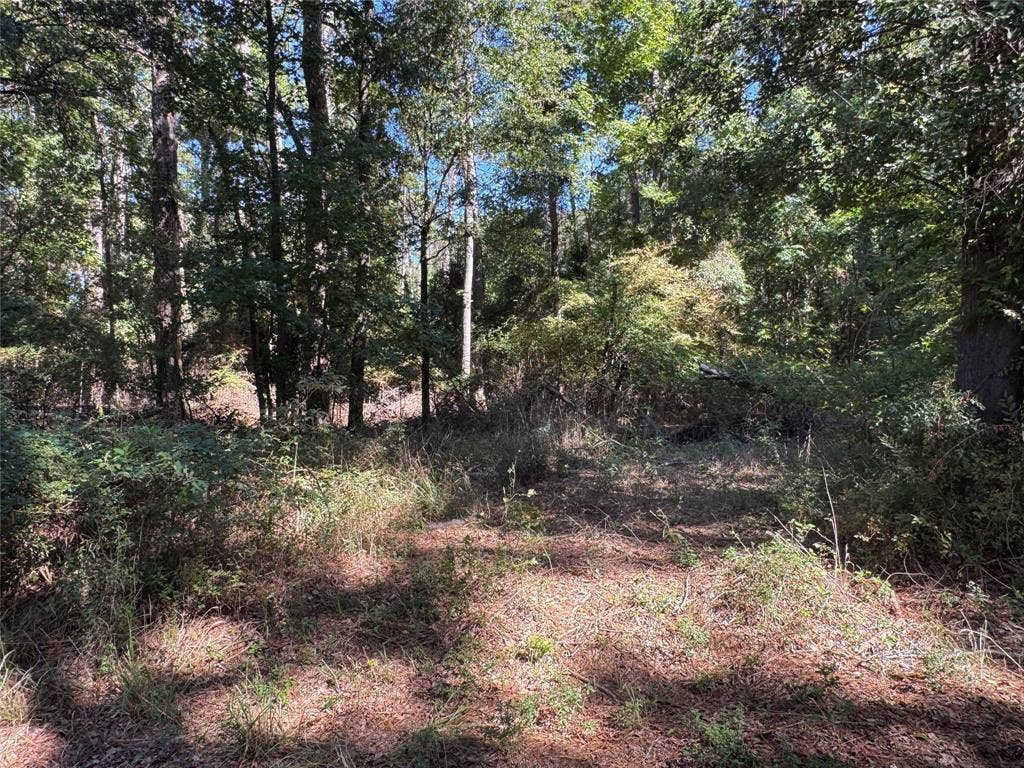 8289 ST HWY 155, Frankston, TX 75763