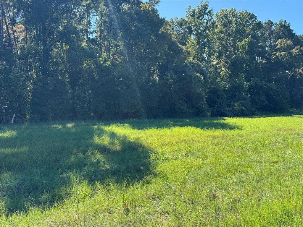8289 ST HWY 155, Frankston, TX 75763