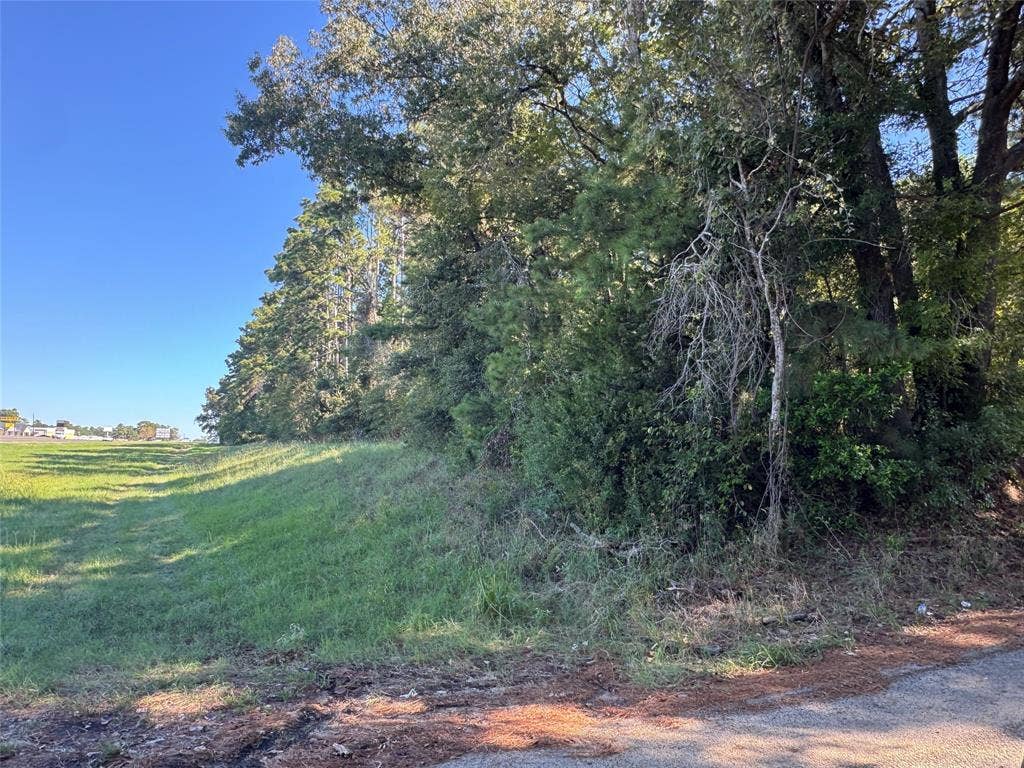 8289 ST HWY 155, Frankston, TX 75763