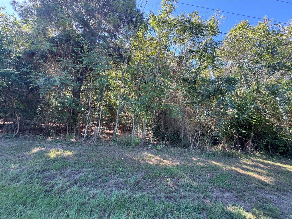 8289 ST HWY 155, Frankston, TX 75763