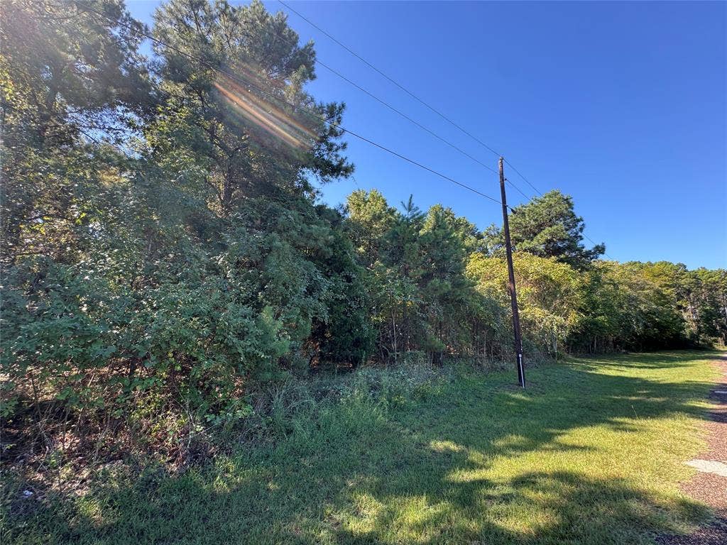 8289 ST HWY 155, Frankston, TX 75763