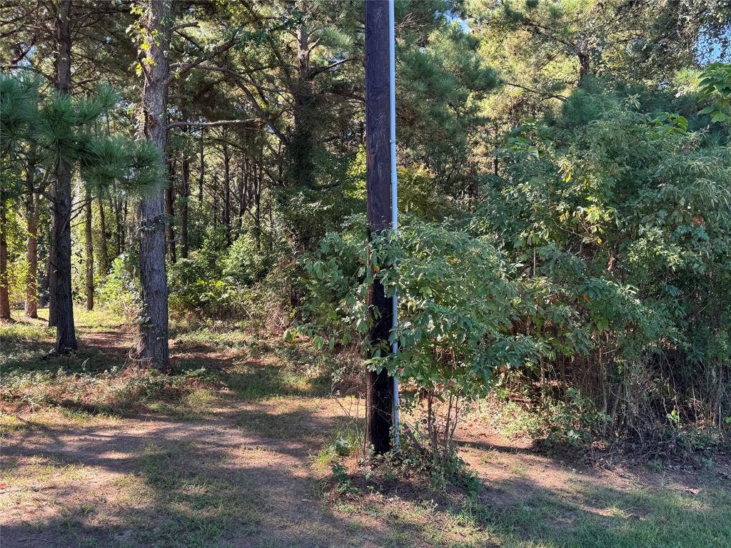 8289 ST HWY 155, Frankston, TX 75763