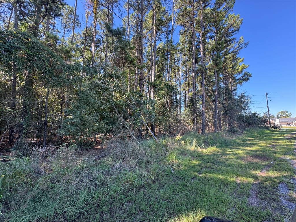 8289 ST HWY 155, Frankston, TX 75763
