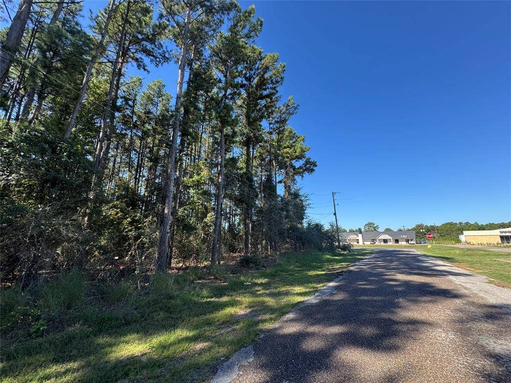 8289 ST HWY 155, Frankston, TX 75763