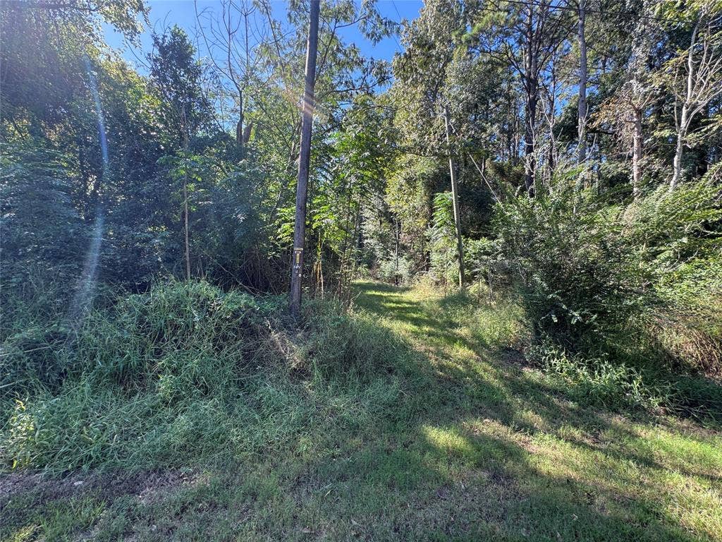 8289 ST HWY 155, Frankston, TX 75763
