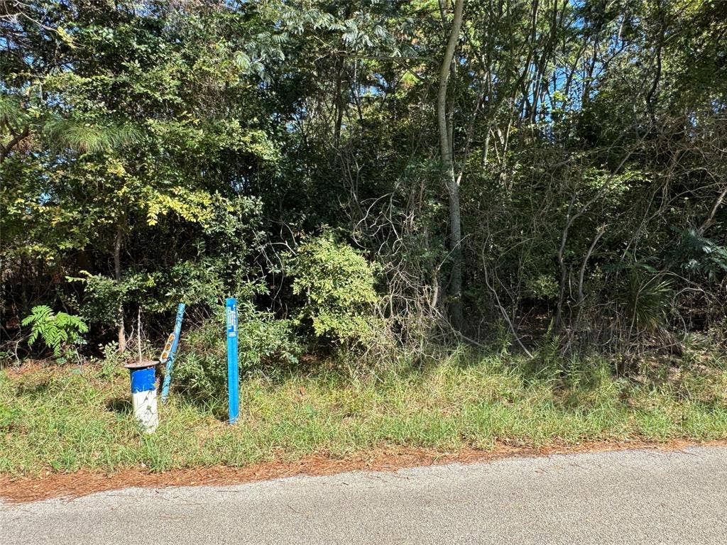 8289 ST HWY 155, Frankston, TX 75763