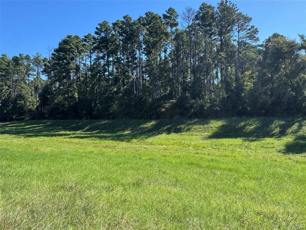 8289 ST HWY 155, Frankston, TX 75763