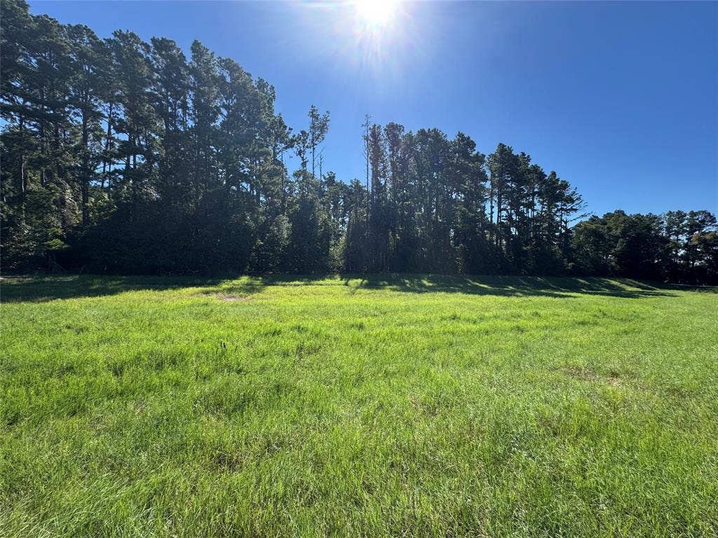 8289 ST HWY 155, Frankston, TX 75763