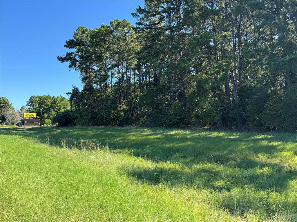 8289 ST HWY 155, Frankston, TX 75763