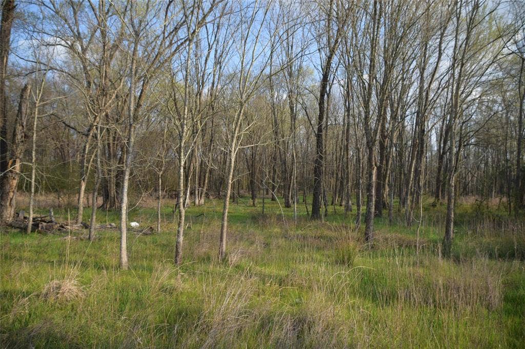 9781 S Highway 79, Palestine, TX 75801
