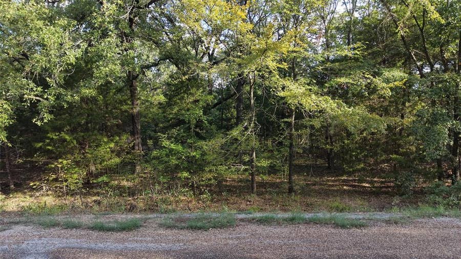 Property photo for 0 Chillacothe Trail, Mabank, TX