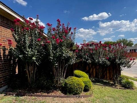 5000 Royal Burgess Drive, Fort Worth, TX 76135