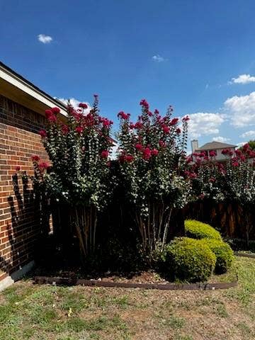 5000 Royal Burgess Drive, Fort Worth, TX 76135