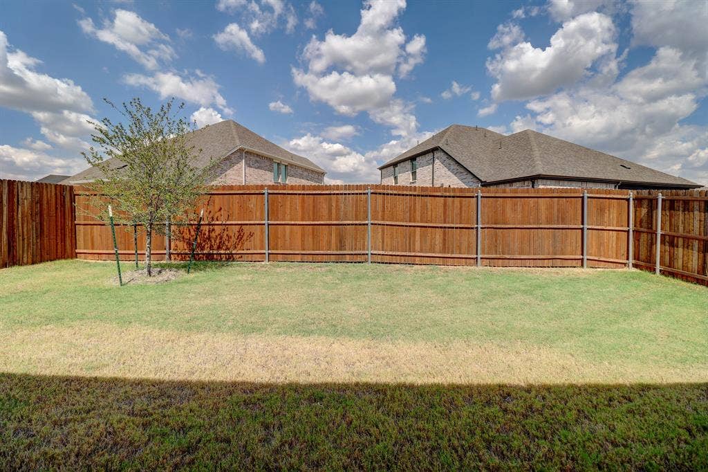 Expansive backyard featuring a wood fence and a young tree