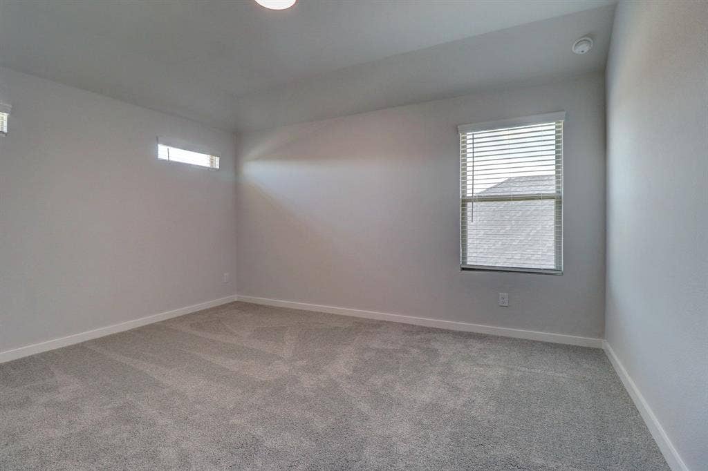 Plush grey carpeting, white wall paint, window blinds, and a ceiling light fixture