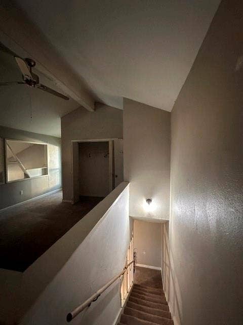 9696 Walnut Street, #2101, Dallas, TX 75243