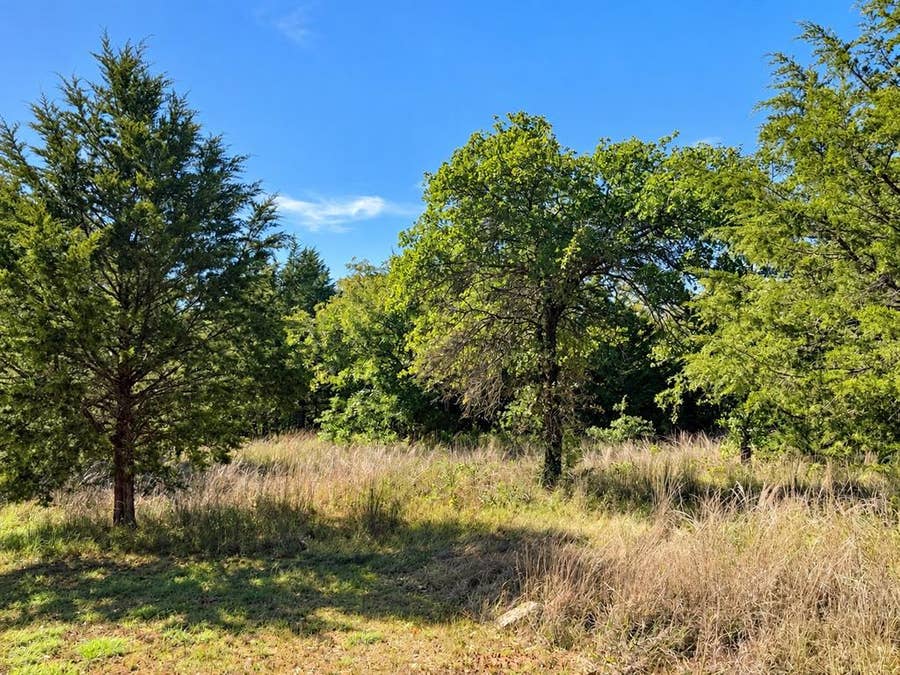 Property photo for TBD Pear Street, Bowie, TX