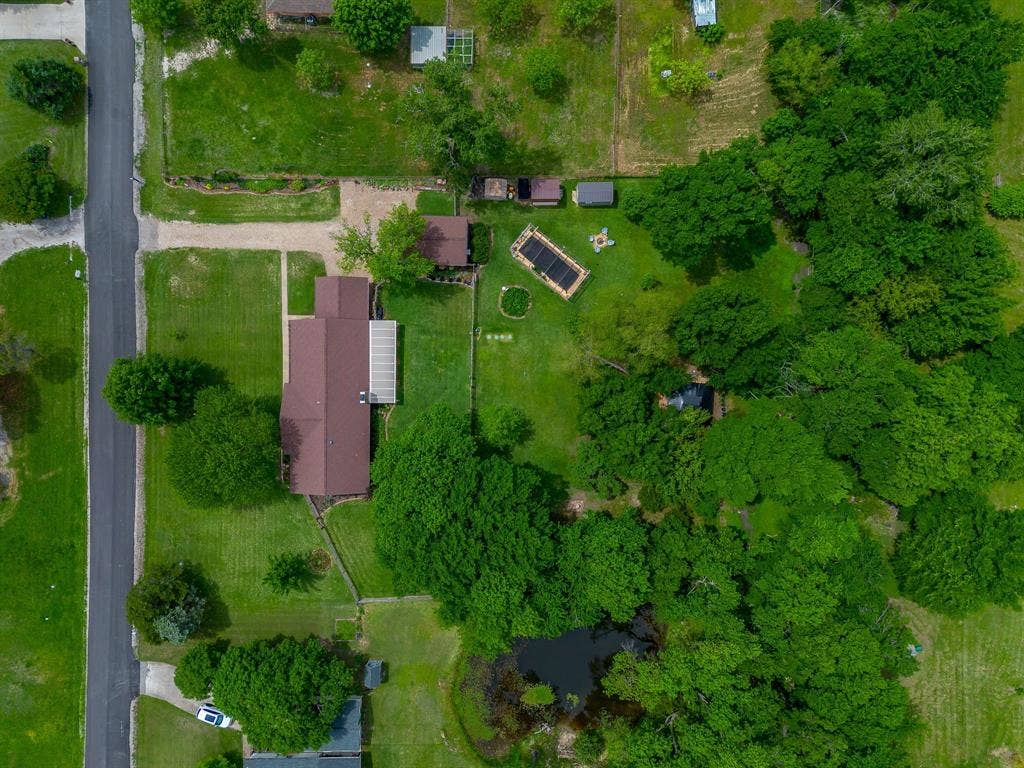 Expansive lot with mature trees, established landscaping, and a rectangular inground pool
