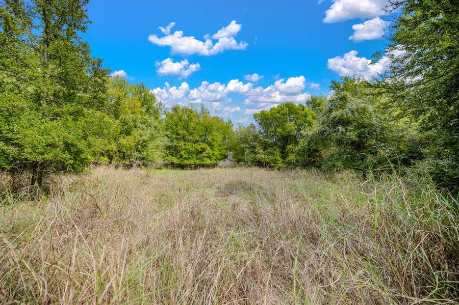 Property photo for TBD Oak Ridge Trail, Bridgeport, TX