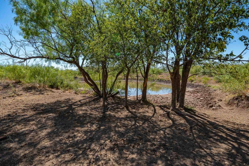 1 County Road 163, Lueders, TX 79533