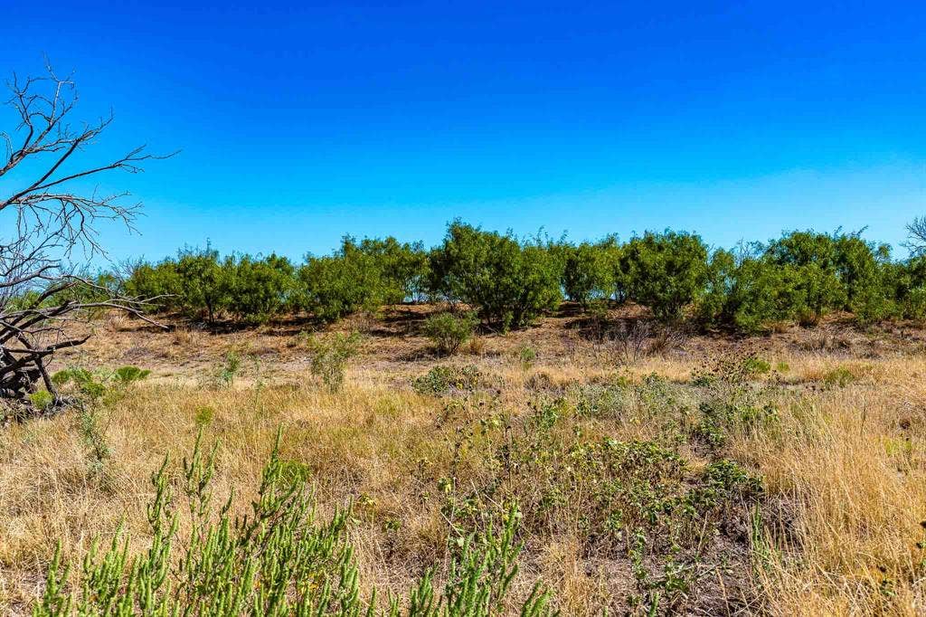 1 County Road 163, Lueders, TX 79533