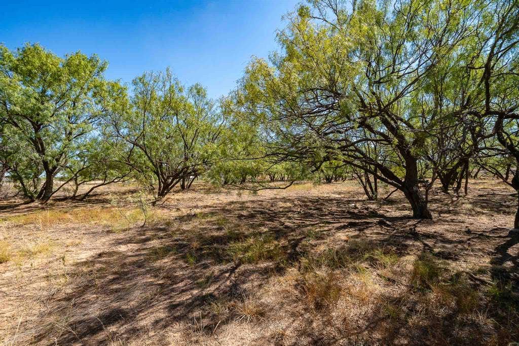 1 County Road 163, Lueders, TX 79533