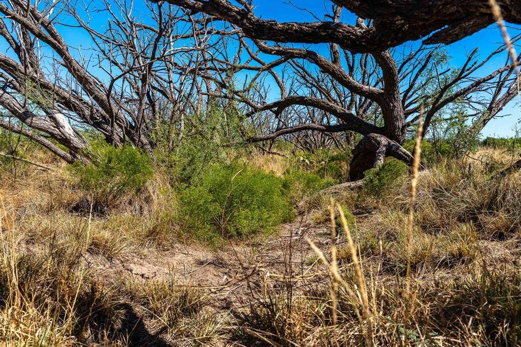 1 County Road 163, Lueders, TX 79533