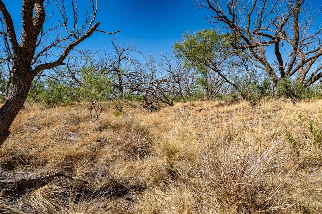 1 County Road 163, Lueders, TX 79533