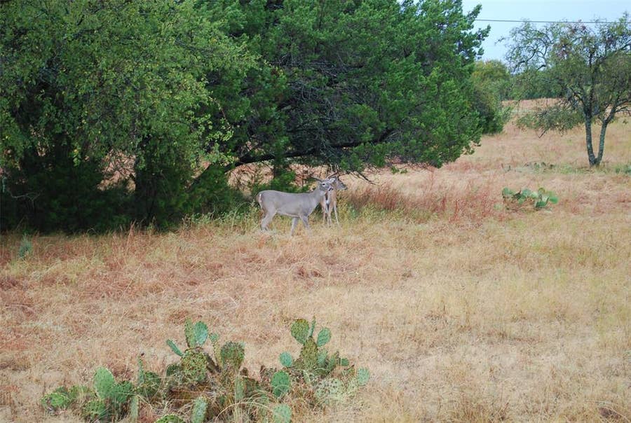Property photo for 42201 Preston Trail, Whitney, TX