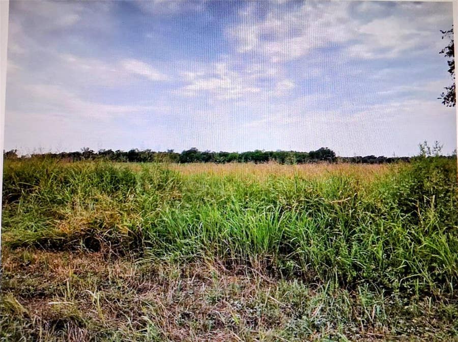 Property photo for 3615 County Road, #10 Acres, Honey Grove, TX