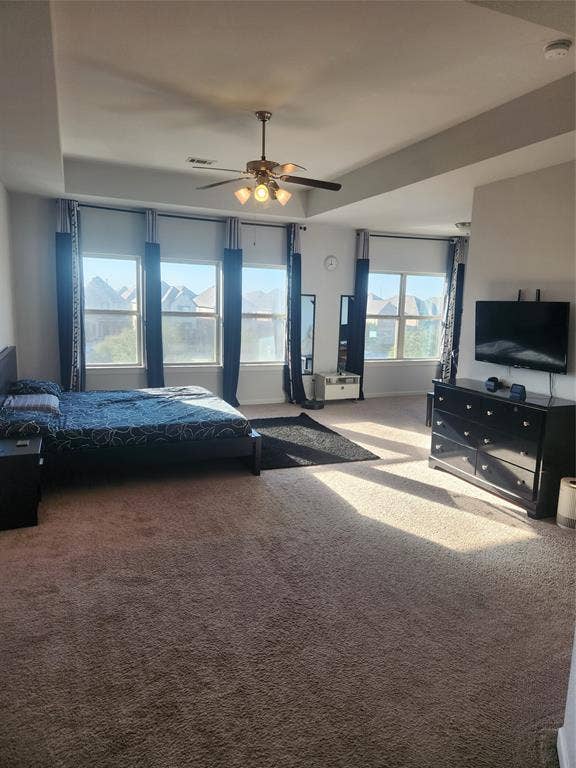3038 Ivy Hill Lane, Irving, TX 75063 Expansive room with tray ceiling, multiple windows, and plush carpet flooring