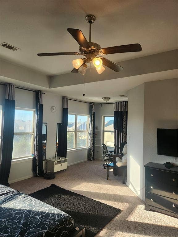 3038 Ivy Hill Lane, Irving, TX 75063 Tray ceiling with a ceiling fan light fixture
