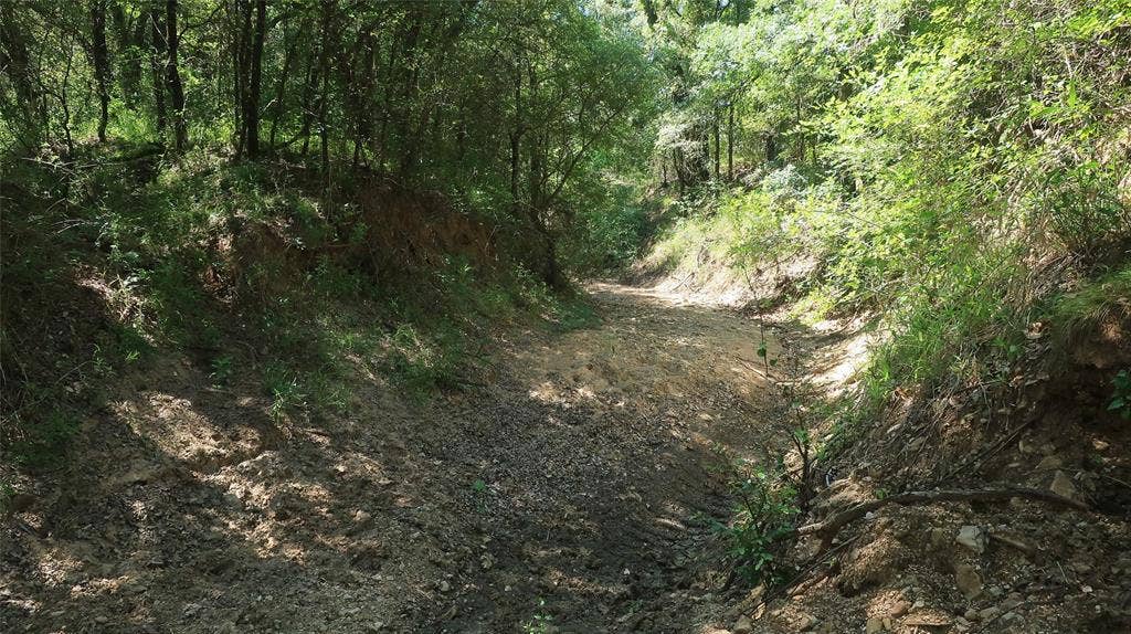 TBD County Road 136, Stephenville, TX 76401 Creek view