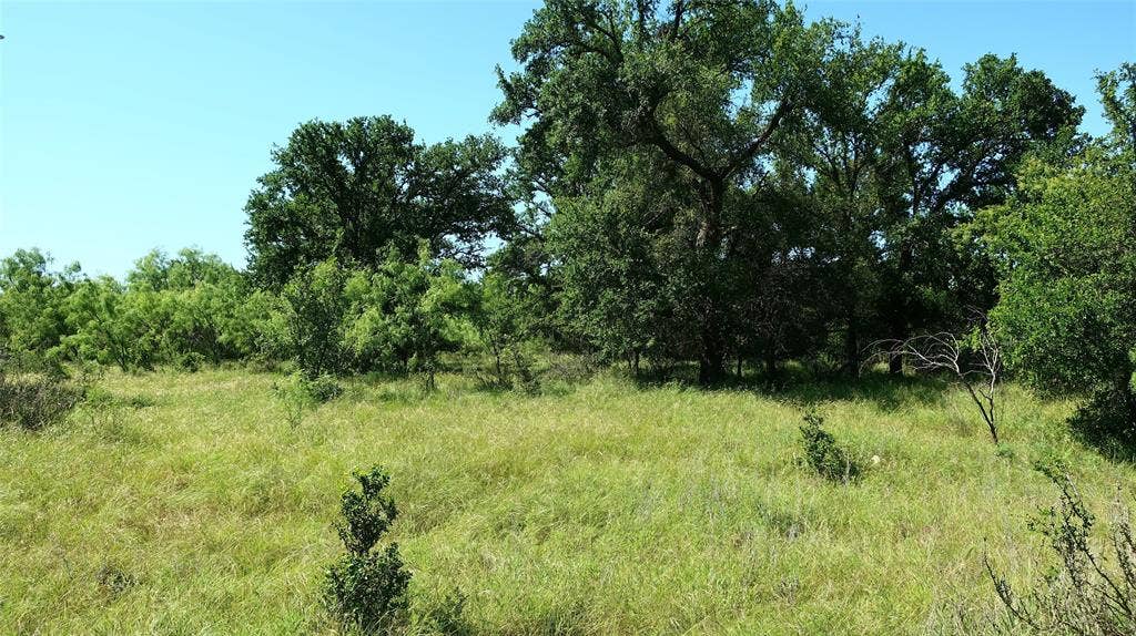 TBD County Road 136, Stephenville, TX 76401 Large teees